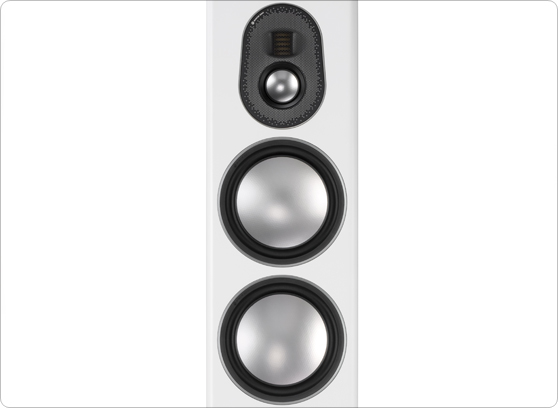 Monitor Audio Gold 300 - cecha 2